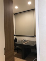 Echelon (D3), Condominium #172971952